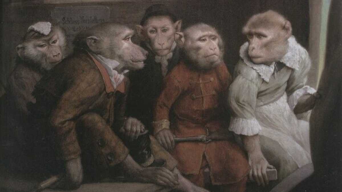 Immagine di Le scemenze di improvvisati geostrateghi e sperimentati tuttologi riempiono i talk-show
