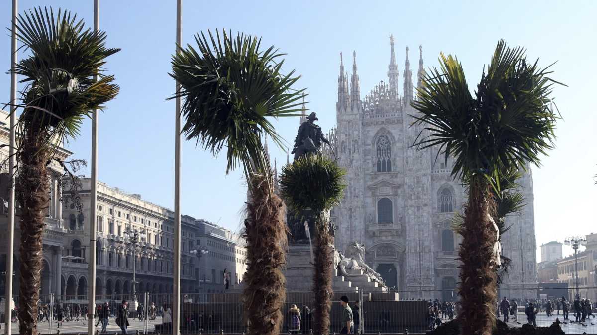 Immagine di Una guida-mappa per scoprire gli alberi di Milano, più verde di quanto si pensi