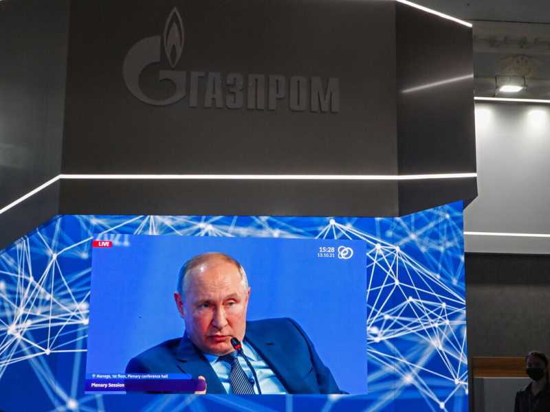 Vladimir Putin (Ansa)