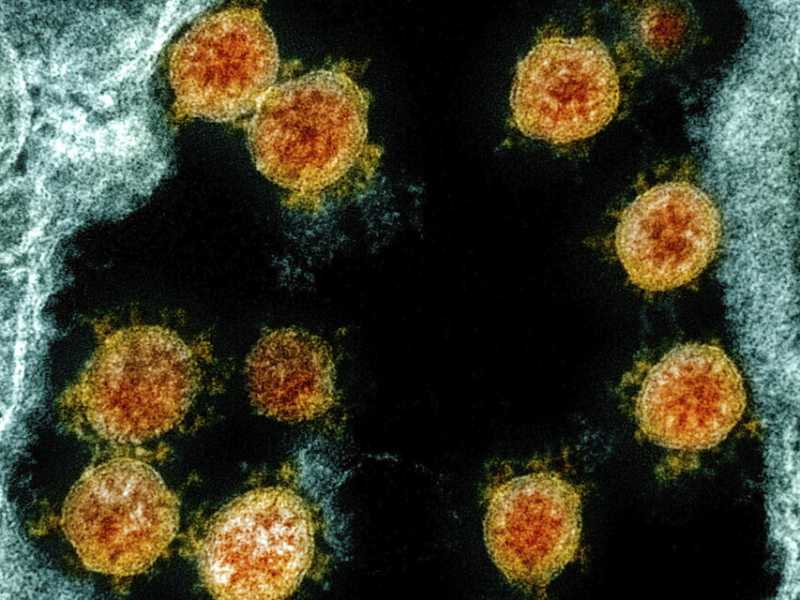 Si autoassemblano e proteggono ad ampio spettro. Ecco il futuro dei vaccini