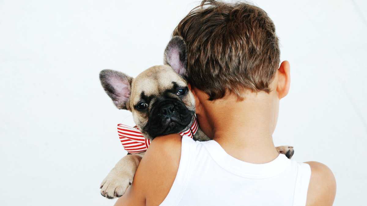 Immagine di I bambini trattano gli animali come esseri umani. Poi crescono