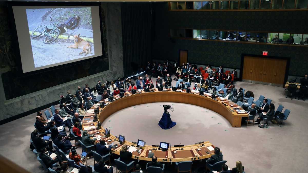 Immagine di L'Onu, il gigante immobile