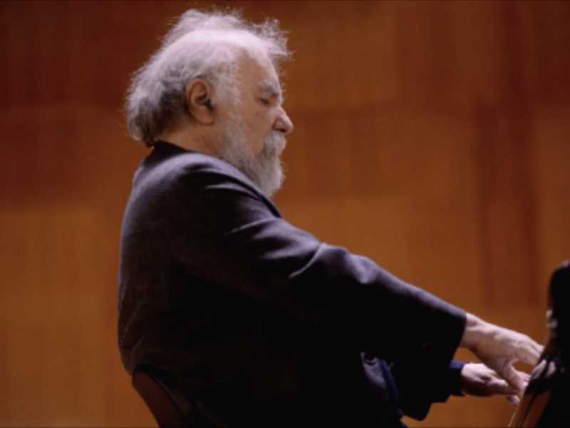 L'indescrivibile incontro fra le mani di Radu Lupu e il suo pianoforte