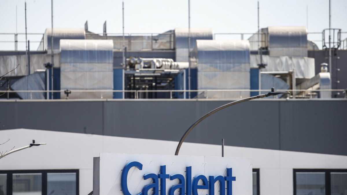 Immagine di Tre anni di attese, Catalent se ne va dall'Italia. FdI: "Cingolani cacci i burocrati"