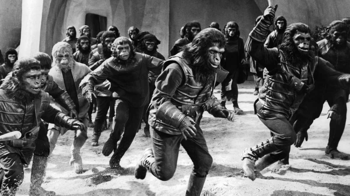 Immagine di Eredità genetica e culturale: la guerra spiegata con l’aiuto di Darwin