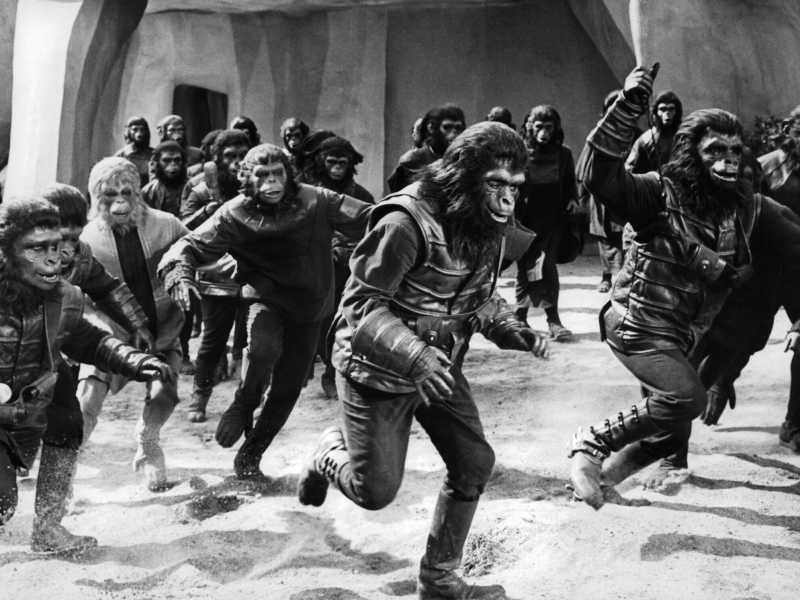 <span style="color: rgb(8, 8, 8); font-family: Lato, sans-serif; font-size: 14px;">Una scena del film del 1968 Il pianeta delle scimmie (foto 20th Century-Fox/Getty Images)</span>
