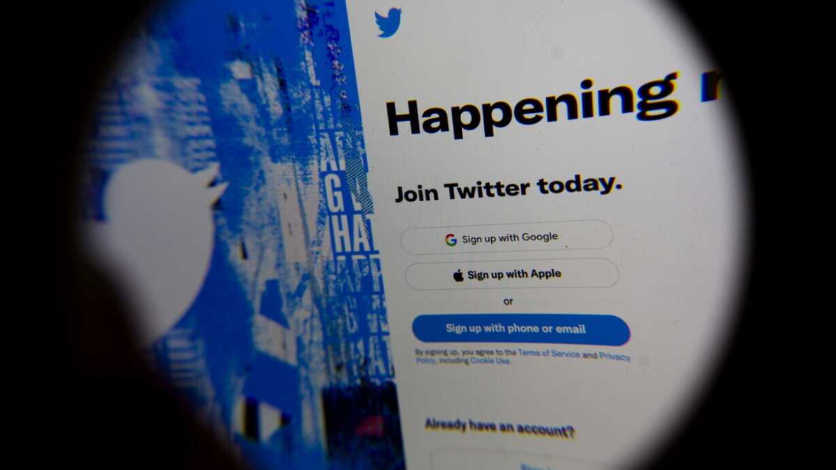 Immagine di 2022, fuga da Twitter? Cos'è Mastodon e perché piace a chi non piace Musk