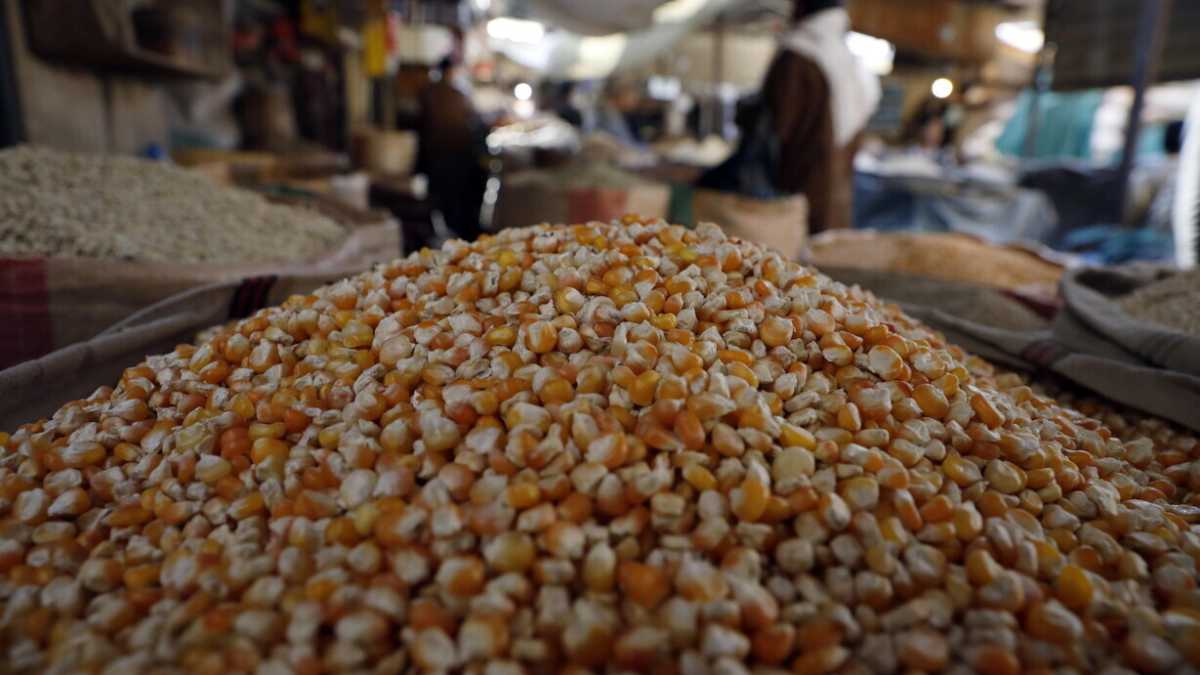 Immagine di La soluzione alla crisi alimentare passa anche dall'uso delle armi