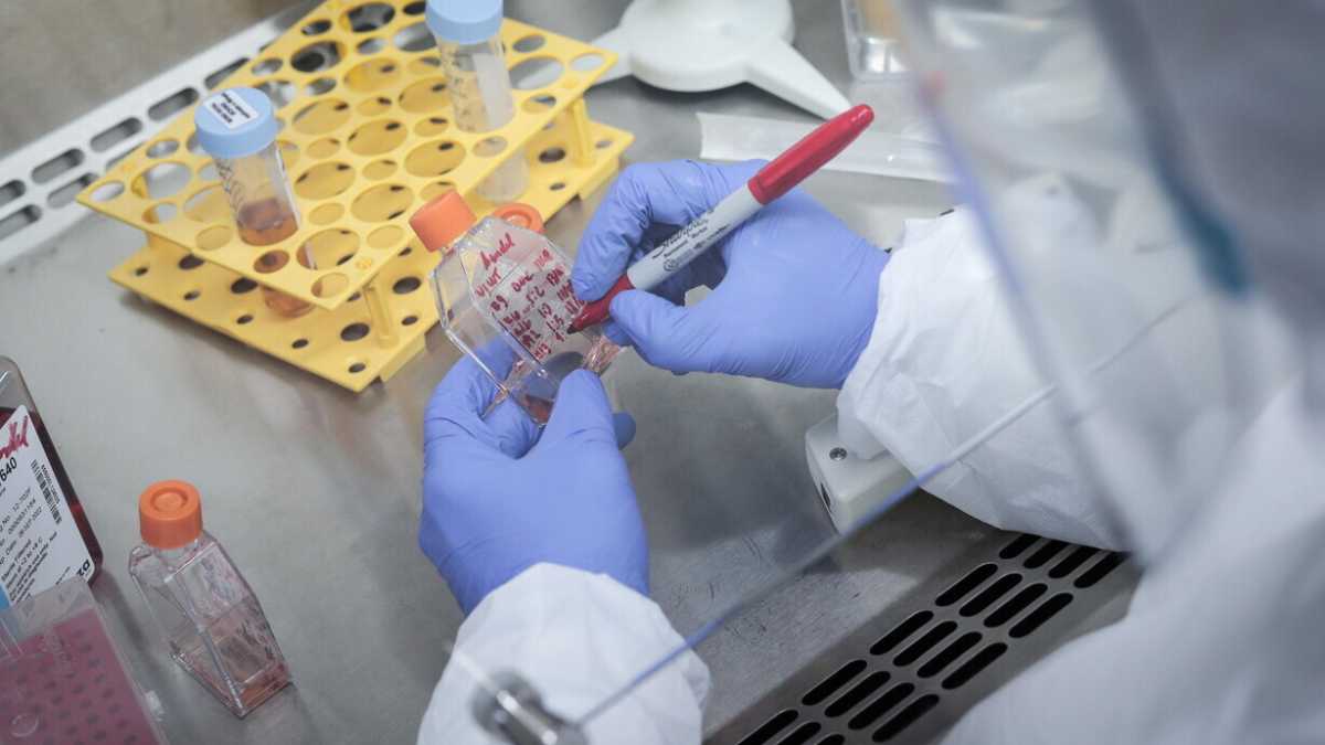 Immagine di Il virus, i vaccini e i doveri morali di un ricercatore