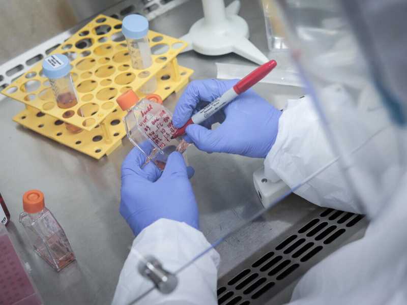 Il virus, i vaccini e i doveri morali di un ricercatore
