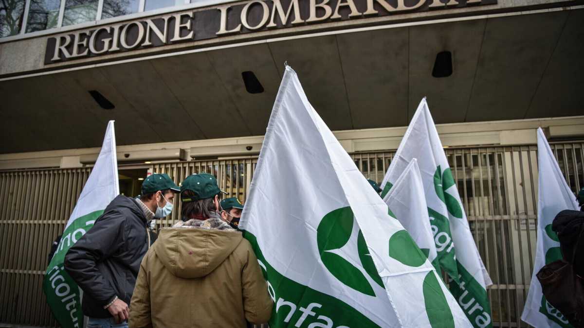 Immagine di C’è verde anche fuori. Disputa sul futuro del Parco Agricolo Sud
