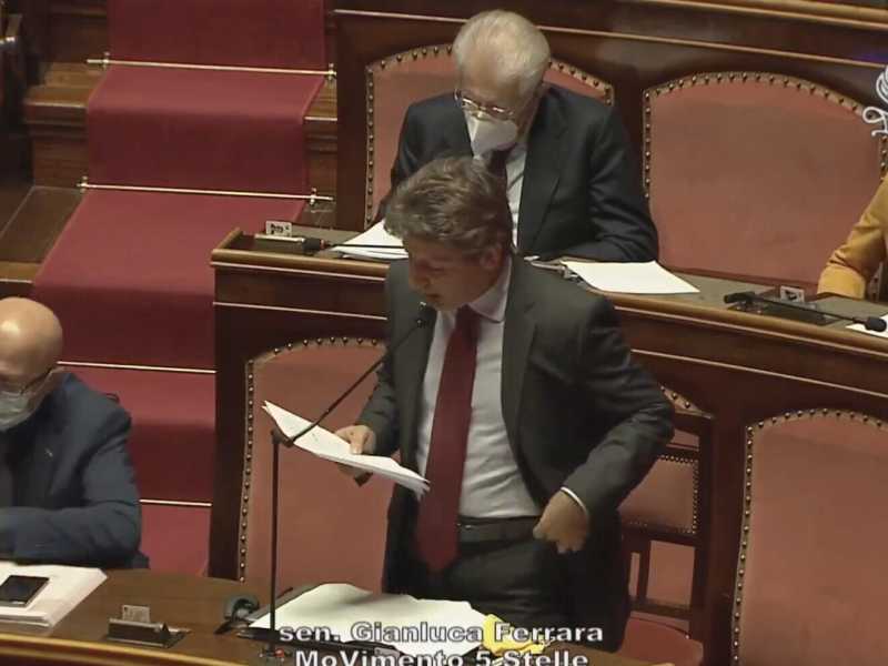 Gianluca Ferrara in Senato (da Youtube)