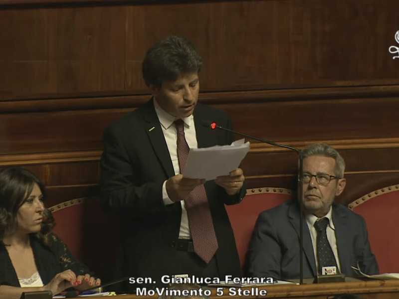 Gianluca Ferrara (Screenshot da YouTube M5s Parlamento)