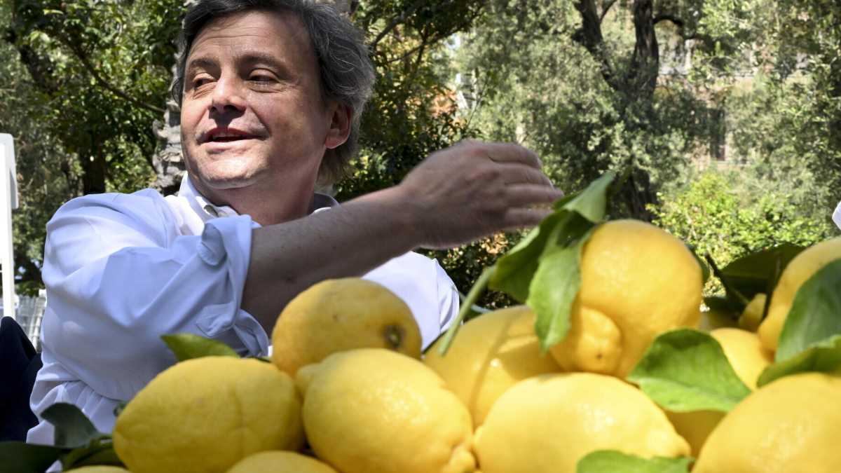 Immagine di Dopo i Ferragnez i Calendas: una vita in Cinemascope