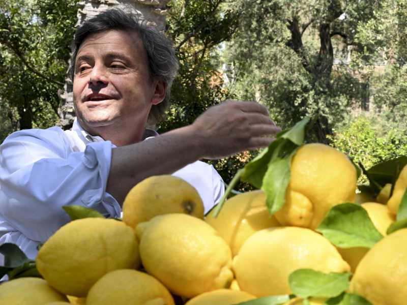 (foto di Ansa)