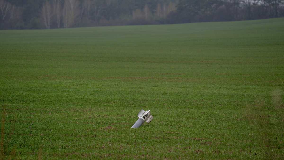 Immagine di Chi porta pane porta pace. L’importanza del grano ucraino da salvare