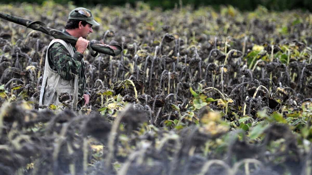Immagine di Una rivista venatoria per scoprire le munizioni “rispettose dell’ambiente”