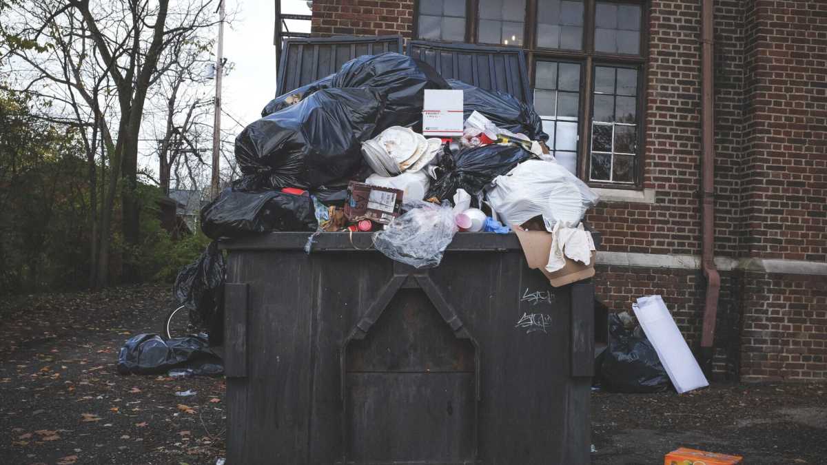 Immagine di Sia lodato il cassonetto dell'indifferenziata