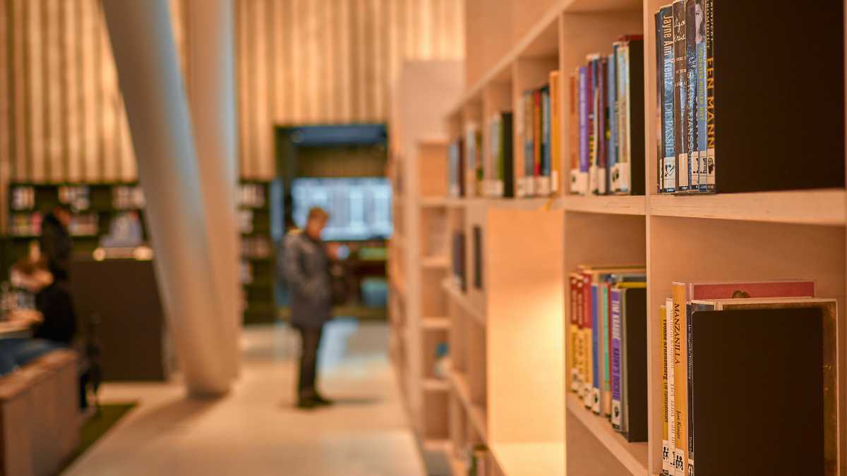 Immagine di Le grandi catene strozzavano i piccoli librai. Ora competono con Amazon e sono diventate buone