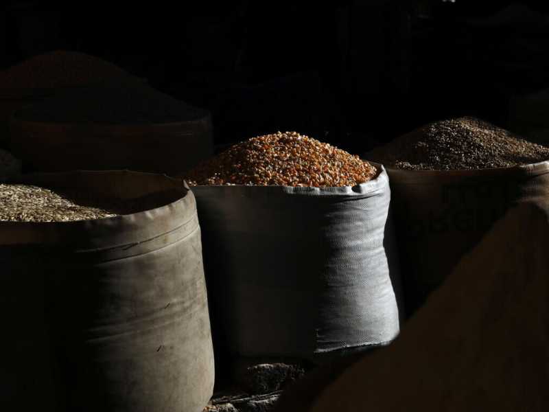 La Russia sta rubando il grano all'Ucraina?