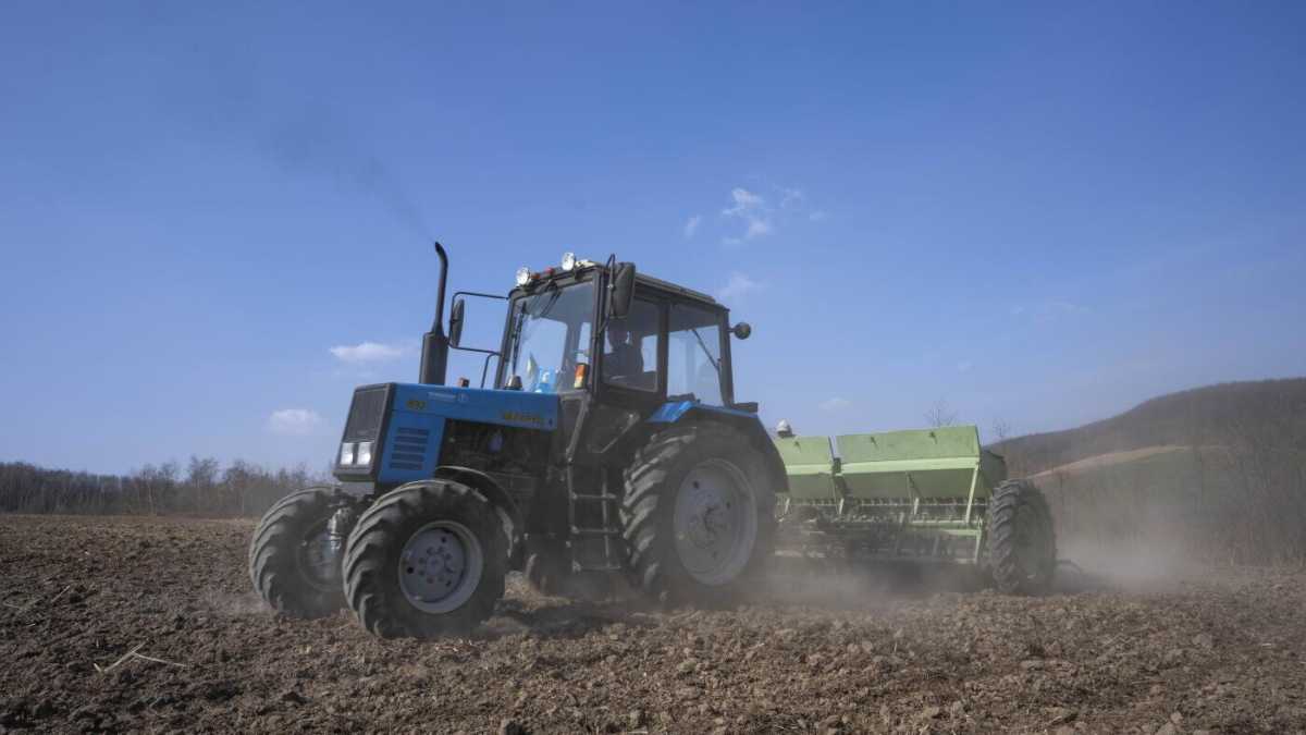 Immagine di Chi ha fame scappa, fa la guerra o muore, ci dice Cirri del World Food Programme