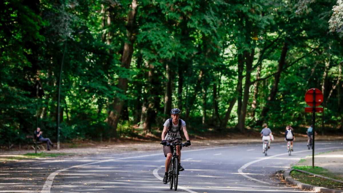 Immagine di Una città senza auto è possibile?