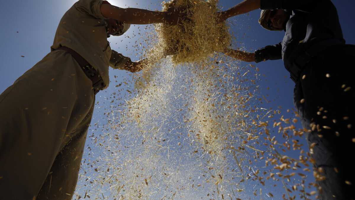 Immagine di Dove porta la crisi alimentare (e migratoria) scatenata dalla guerra in Ucraina