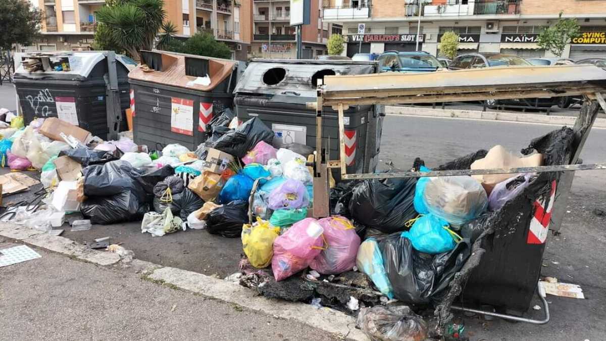 Immagine di Nella Capitale si torna alla normalità: turisti e monnezza