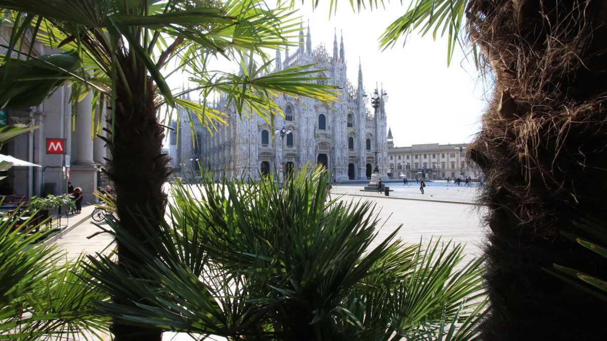 Immagine di Milano, la destra, la sinistra e il paradosso della palma