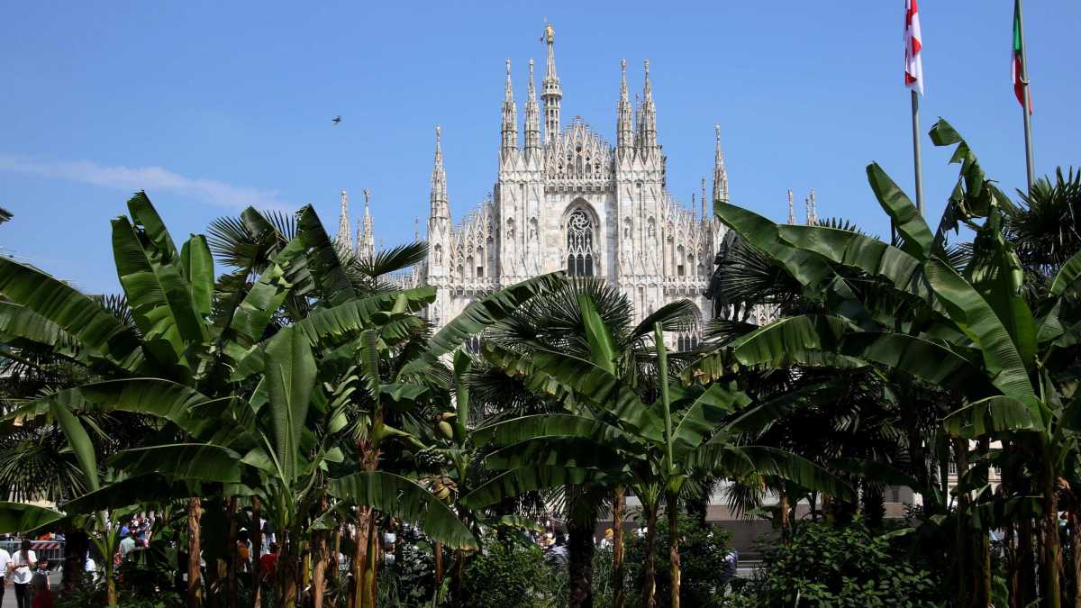 Immagine di Milano, la svolta esotica di piazza Duomo non ha funzionato: addio palme