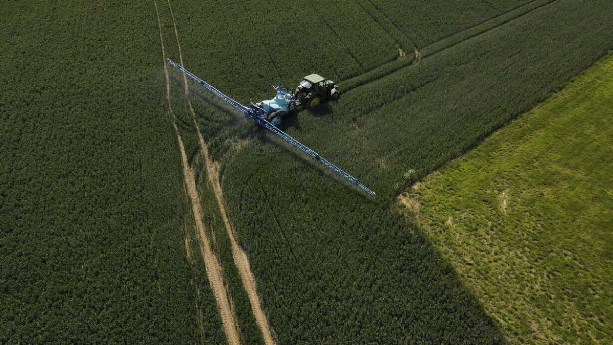 Immagine di Abbattere le emissioni inquinanti aiuta anche la produzione agricola