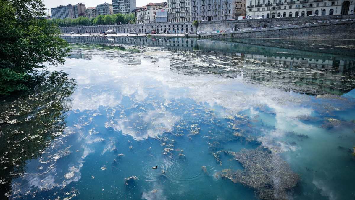 Immagine di Povero fiume Po, deriso anche dai bambini