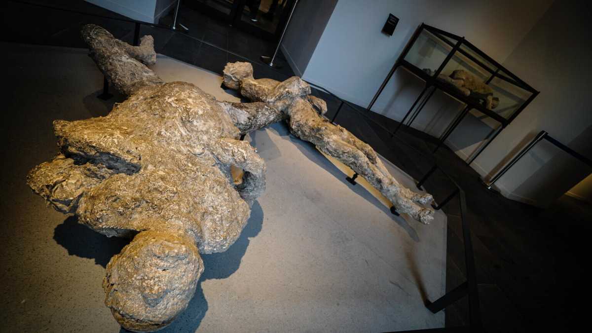 Immagine di Dal Dna di Pompei una lezione sulla diffusione della tubercolosi