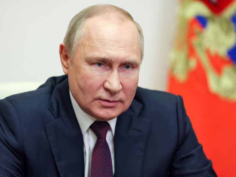 Vladimir Putin (Ansa)