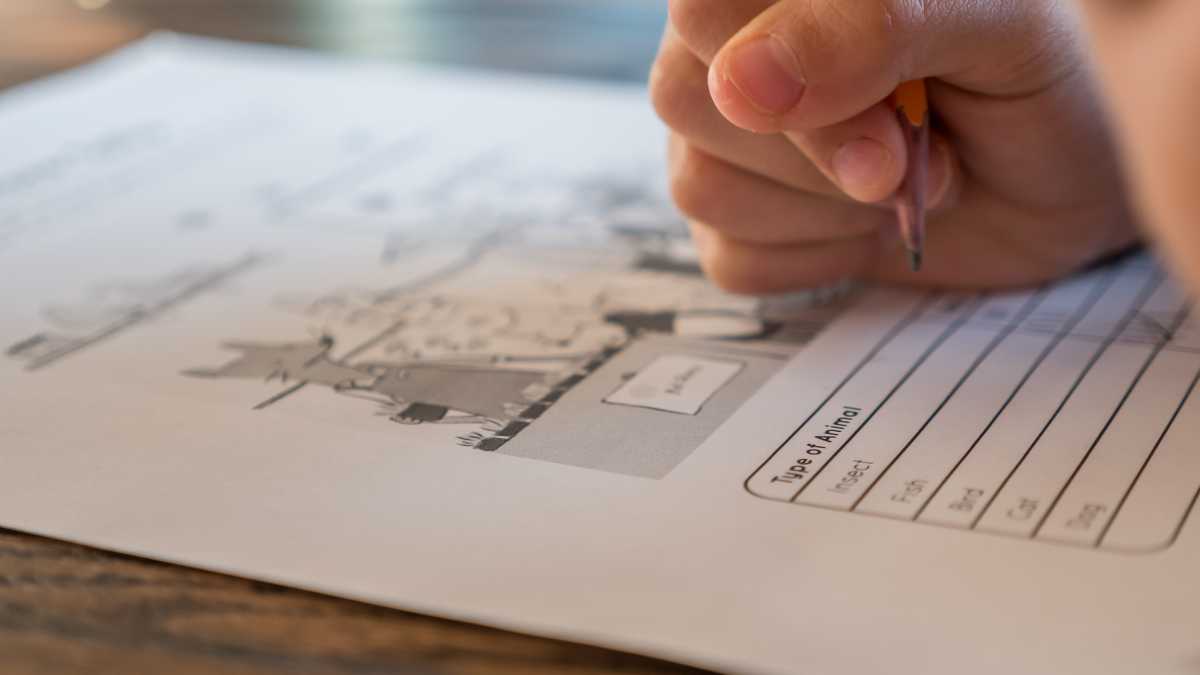 Immagine di Se i quiz estivi diventano minacciosi compiti delle vacanze per adulti