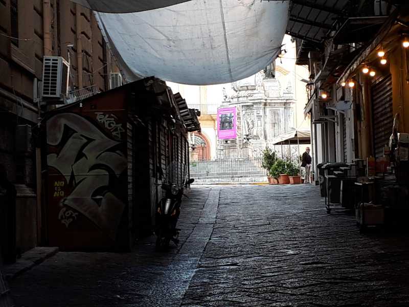 (foto di Ansa)