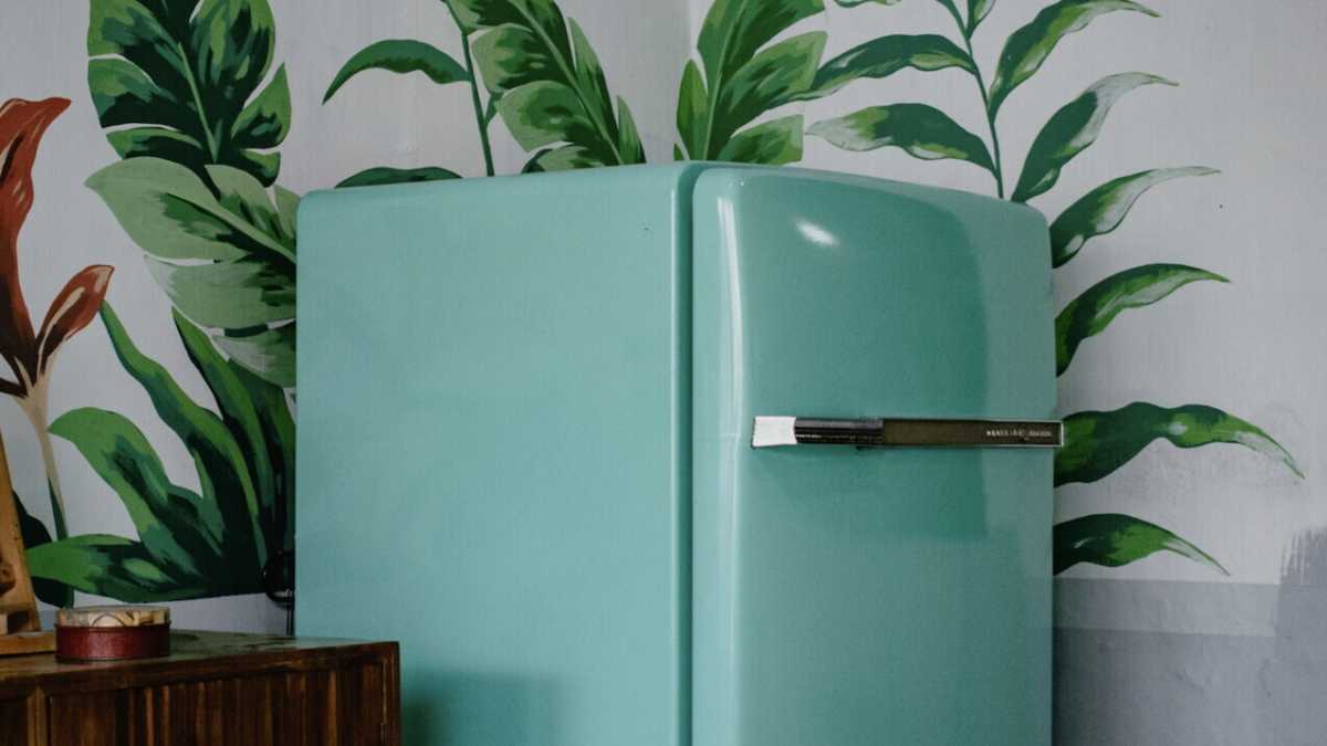 Immagine di Lode all'inventore del frigo