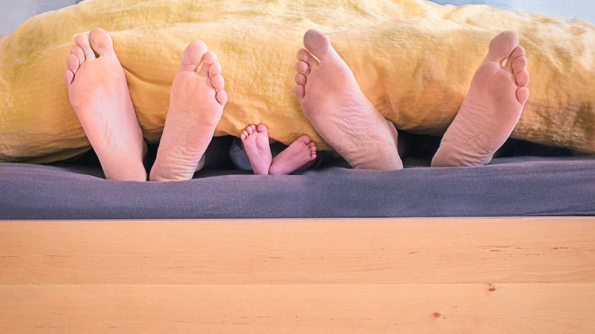 Immagine di Big Foot era il guardiano del mio palmeto