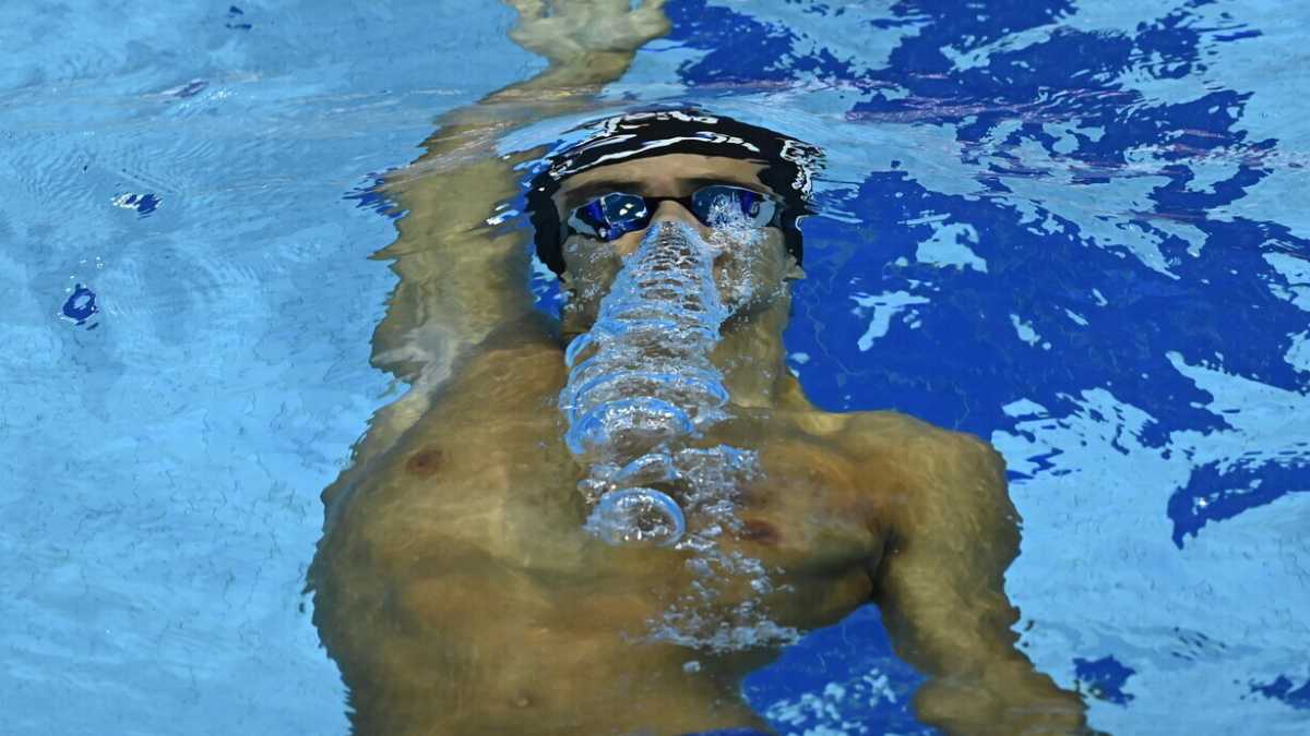 Immagine di Il nuoto e il paese del sole