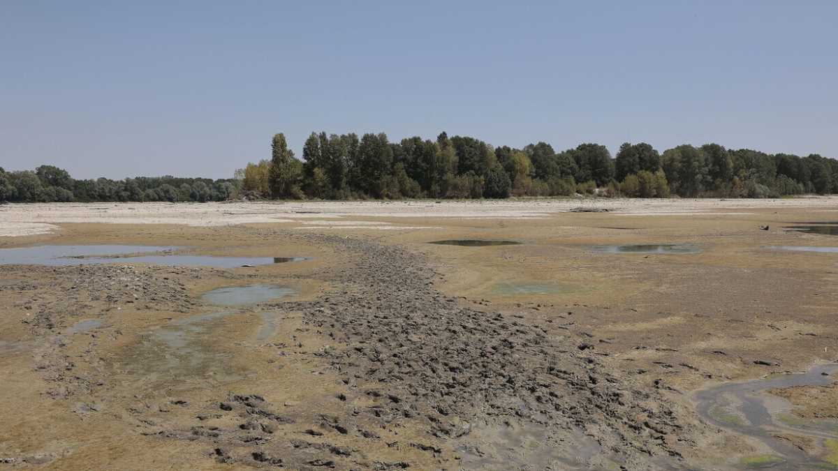 Immagine di Emergenza siccità, le regioni chiedono aiuto al governo: "Agire entro 15 giorni"