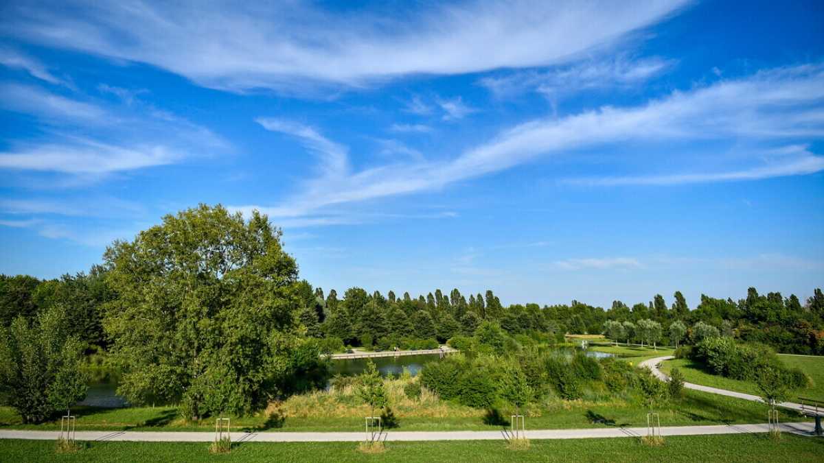 Immagine di Dal Parco Nord al Parco No