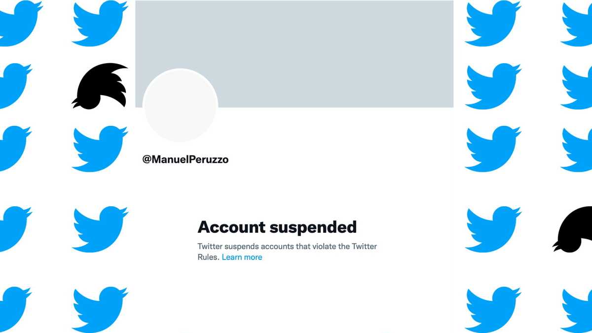Immagine di Caro Musk, per restare su Twitter devo diventare uno dei profili fake che odi?