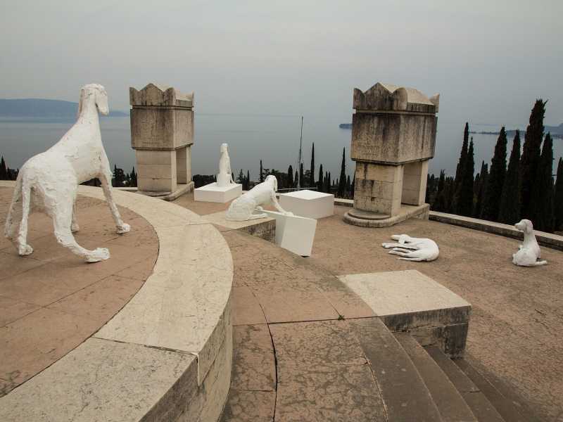 &nbsp;I Cani di Velasco Vitali