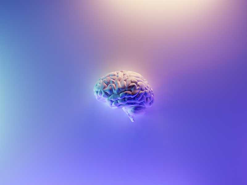 Perché il cervello non ha ancora ceduto a un computer lo scettro del linguaggio