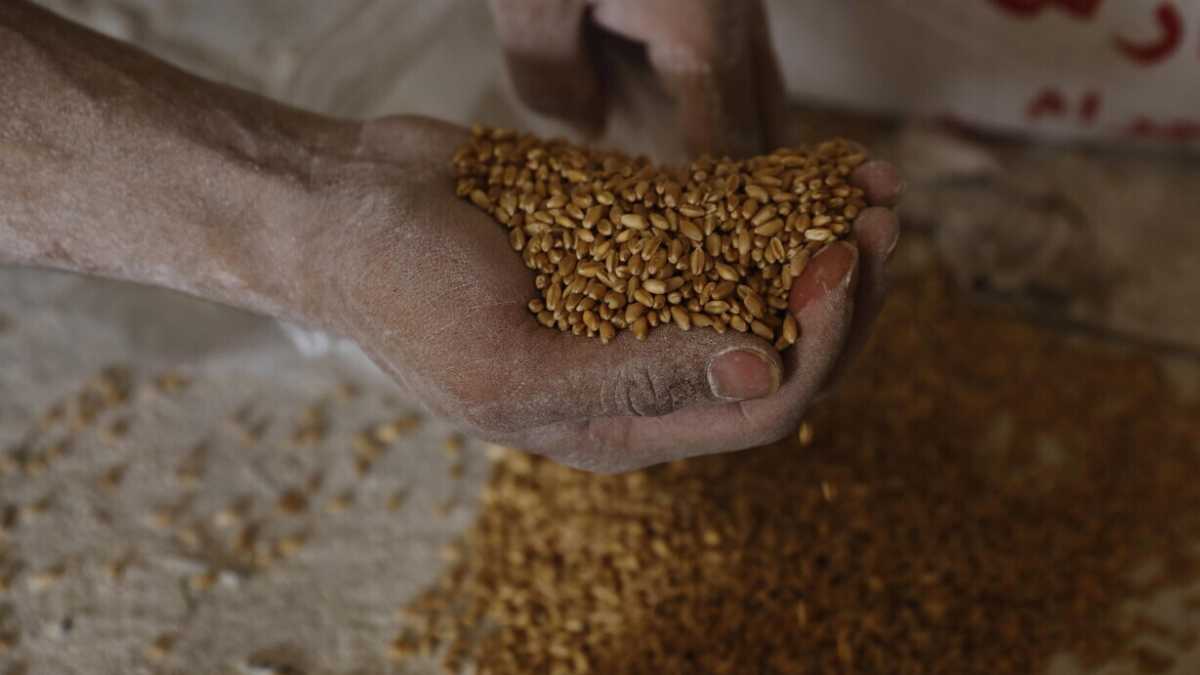 Immagine di La politica può fare molto contro la speculazione sulle materie prime