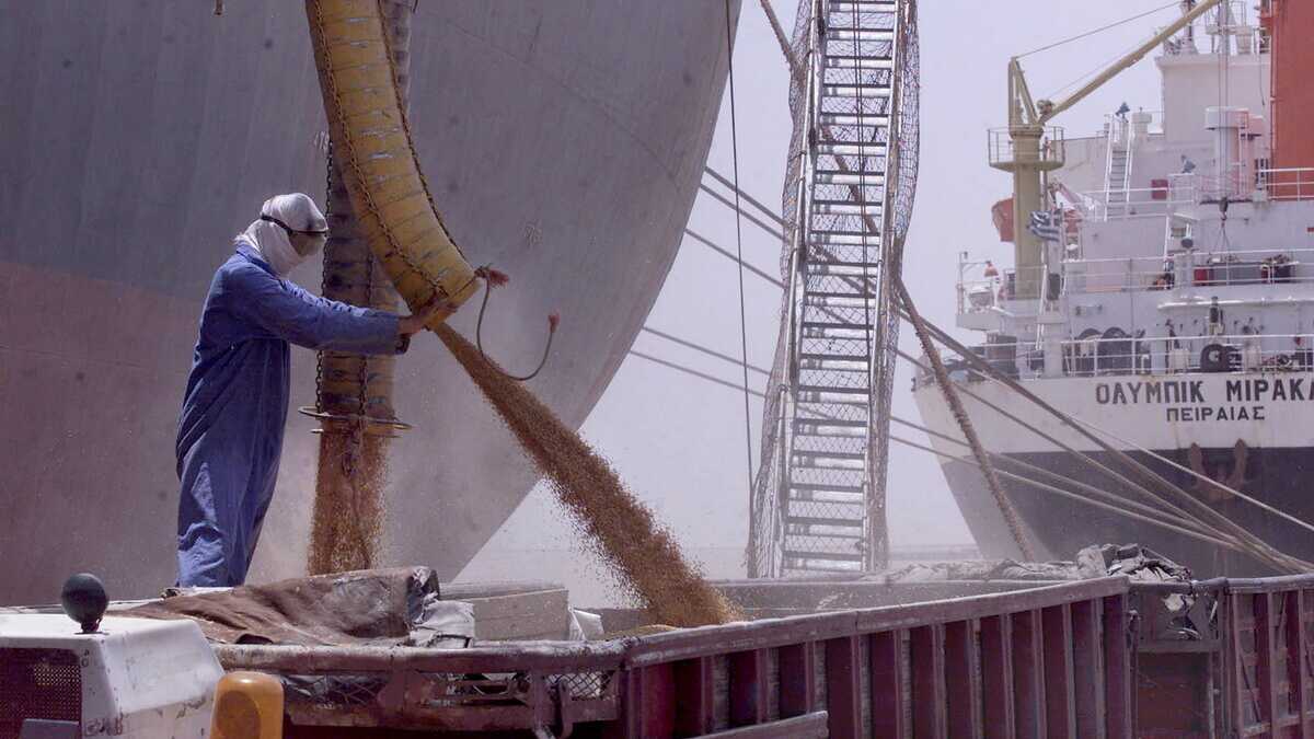 Immagine di Il furto del grano. Seguendo la rotta dei camion russi, s’arriva dritti in Turchia