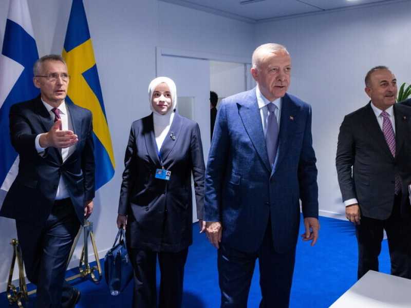Erdogan toglie il veto, la Nato si apre a Svezia e Finlandia