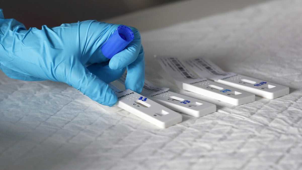 Immagine di I vaccini universali contro il Covid sono l'unico modo per non inseguire le varianti