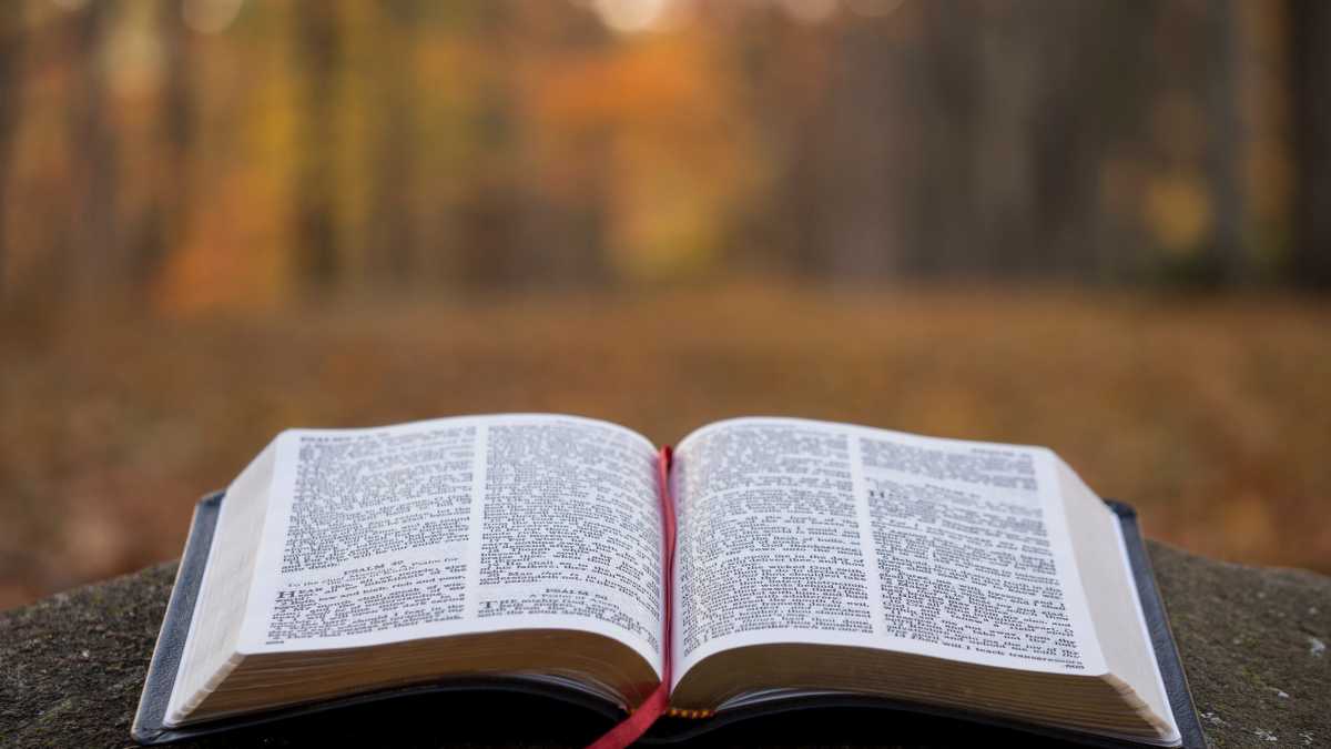 Immagine di La nuova evangelizzazione attraverso esempi tangibili dell’amore di Dio