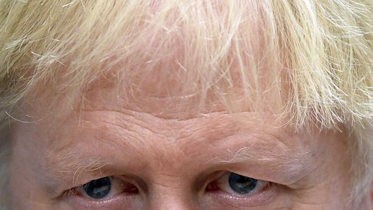 Immagine di Avercene di Boris Johnson